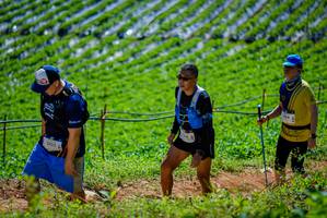 BIB: 2423, 1164
                            <button type="button" onclick="openModal(19164649)" class="btn btn-primary btn-sm float-right btn-popup" data-toggle="modal" data-target=".modal-high-quality">
                        <i class="fas fa-shopping-cart"></i> Add to Cart
                    </button>
                                            <button type="button" onclick="isThisMe(19164649, true)" class="btn btn-success btn-sm float-right btn-popup btn-isme hidden" data-toggle="tooltip" data-placement="bottom" title="นี่คือรูปของคุณใช่ไหม คลิกที่นี่เพื่อเอาเข้าอัลบั้ม">
                        <i class="fas fa-plus"></i> Add to album
                    </button>
                    <button type="button" onclick="isThisMe(19164649, false)" class="btn btn-warning btn-sm float-right btn-popup btn-isnotme hidden">
                        <i class="fas fa-ban"></i> Remove from album
                    </button>